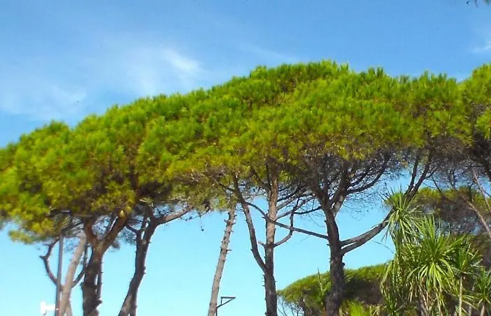 Riviera West Durres Tirana Sea Side דירה